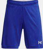 UA Tech Shorts (YOUTH)